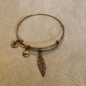 Feather Bangle